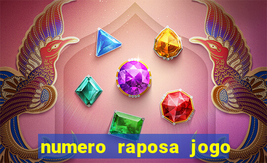 numero raposa jogo do bicho